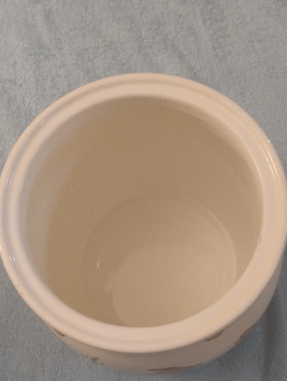 Dog Treat Jar with Bone Handle - Cream/Tan
